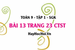 Bài 13 trang 23 Toán 9 tập 1 Chân trời sáng tạo SGK